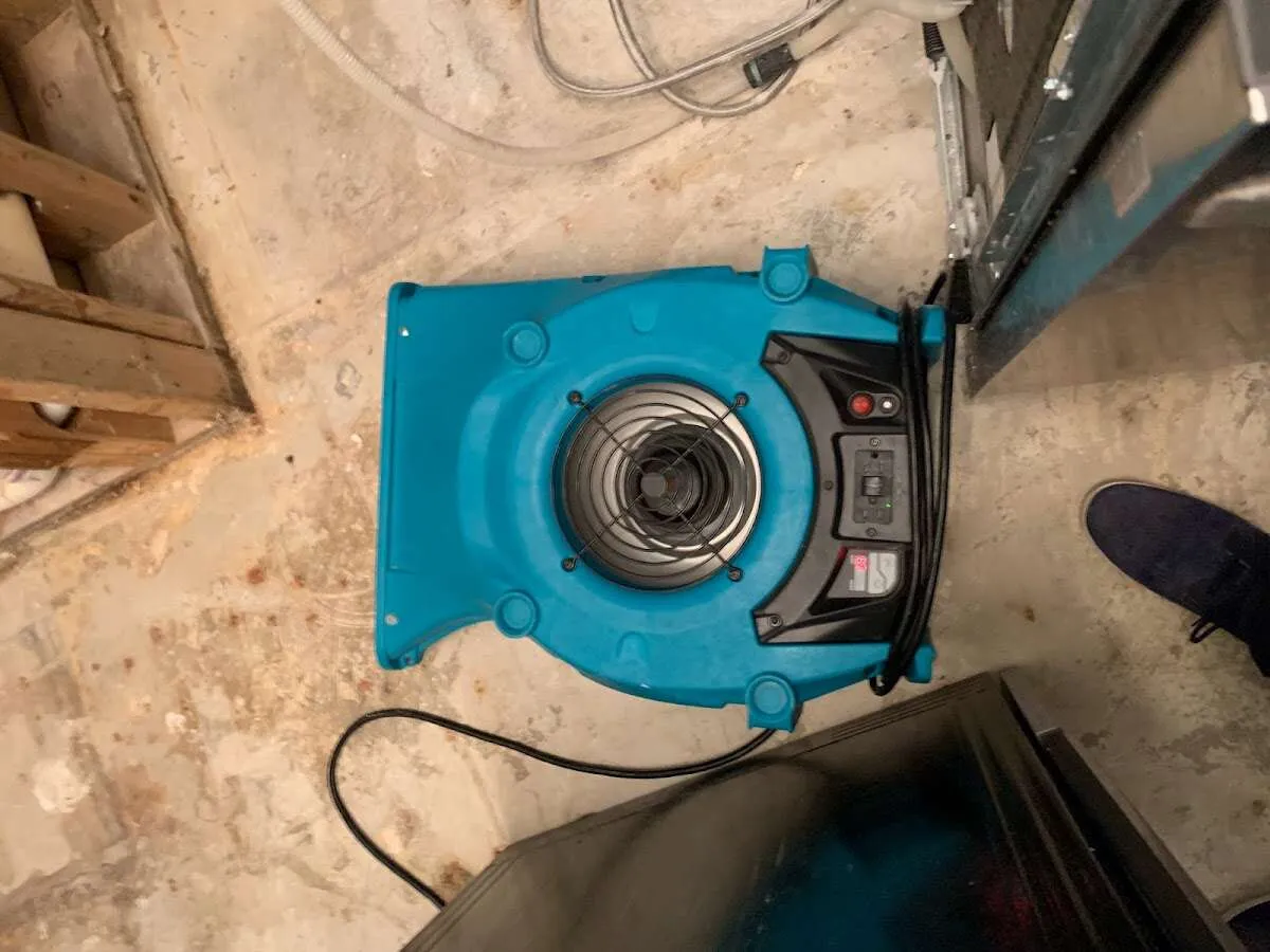 Air mover drying equipment for Mold Remediation & Removal in Hiram